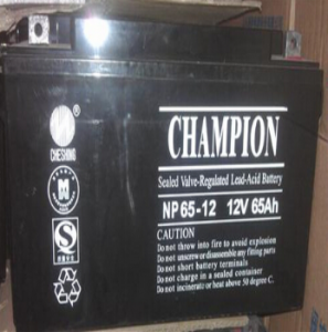 冠军电池NP65-12 12V65Ah